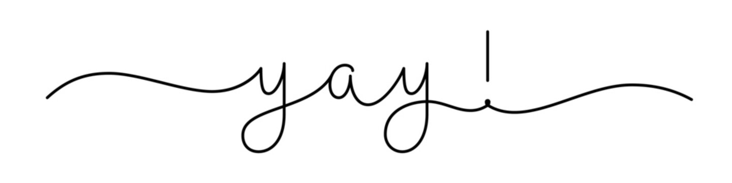 YAY! black vector calligraphy banner with swashes