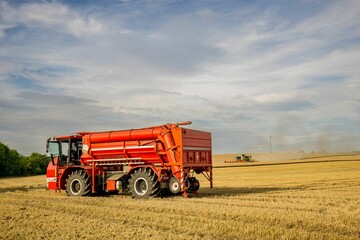 Wheat harvest in Germany in summer