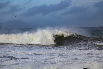 Fototapeta na wymiar Big waves of the sea crashing on the rocks at the shore