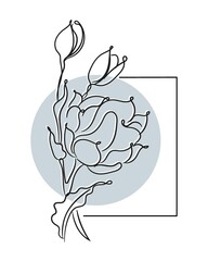 hand drawn rose