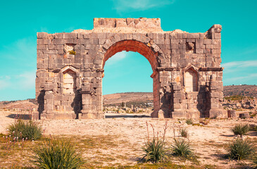 Roman ruins of Volubilis- Meknes province in Morocco - obrazy, fototapety, plakaty