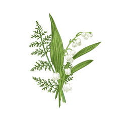 Spring bouquet with lily of the valley flowers and fern. Botanical illustration,  isolated on transparent background. Vintage. Green.