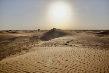 Sand dunes in a desert with a sunlight in the background