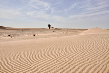 Fototapeta na wymiar Beautiful barren sandy dune