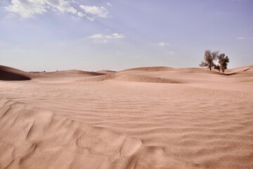 Daytime view of the sand dunes in a desert