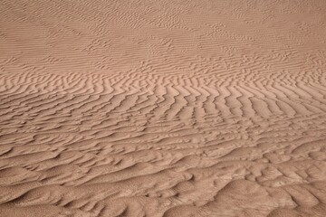 Daytime view of the sand dunes in a desert