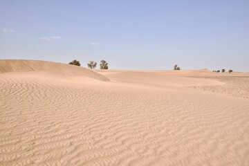 Fototapeta premium Daytime view of sand dunes in a desert