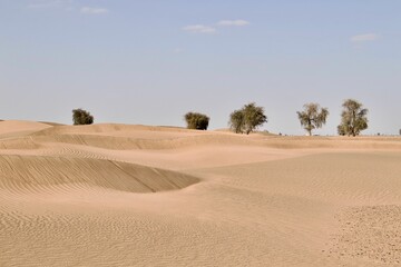 Fototapeta na wymiar Daytime view of sand dunes in a desert