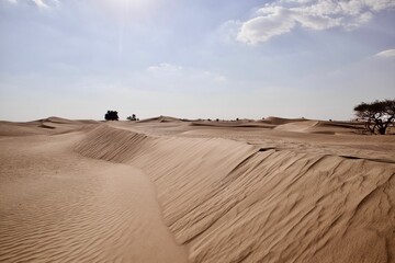 Daytime view of sand dunes in a desert