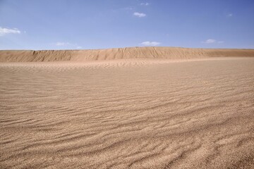 Fototapeta premium Daytime view of sand dunes in a desert