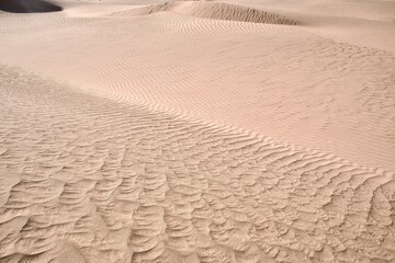 Obraz premium Sand in the dry desert on a sunny day