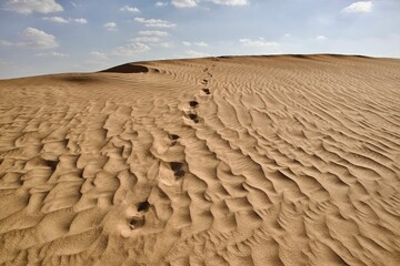 Beautiful shot of a dry brown desert under a bright blue sky