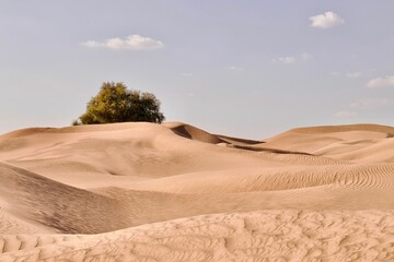 Fototapeta na wymiar Beautiful shot of a dry brown desert under a bright blue sky
