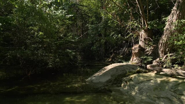 Beautiful view of woods in Lost Creek in Allen TX with river, rocks and light falling from trees