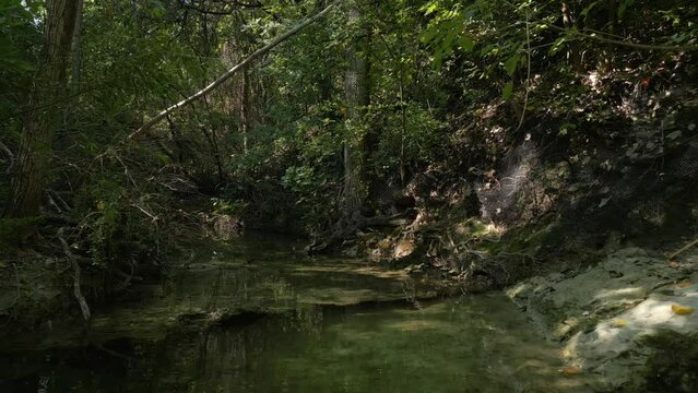 Beautiful view of woods in Lost Creek in Allen TX with river, rocks and light falling from trees