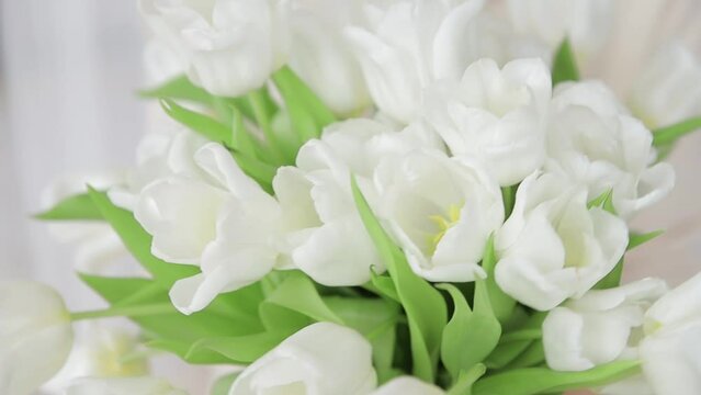 Close-up shot of delicate white tulips in woman's hands. Bunch of the first spring flowers in the hands. Concept for floristic business or flower delivery. Shallow dof