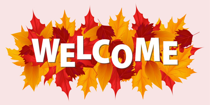 colorful autumn leaves welcome vector design