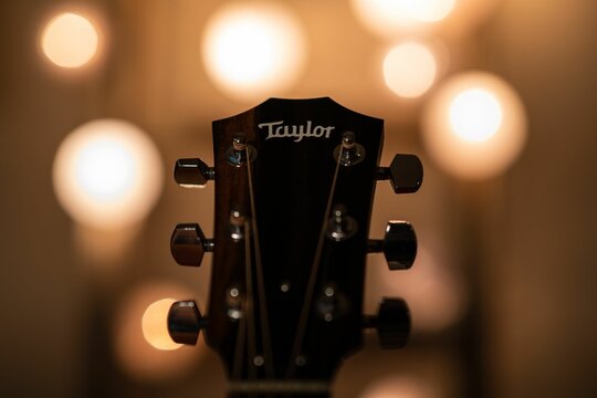 Closeup of a Taylor Guitar Headstock with ambient lighting