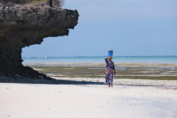 African woman carrying Oysters seafood with a bucket on their head in a beautiful beach with nice coastline