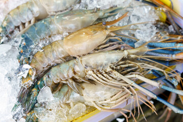 Fresh raw prawn or shrimps on fish market. High quality photo