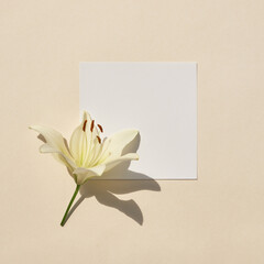 Blank paper sheet card and lily flower on pastel beige background. Flat lay, top view mockup with empty copy space.