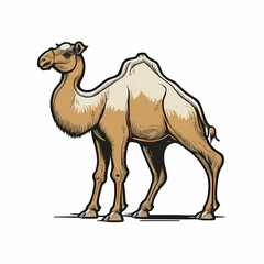Camel Isolated on White Background. Generative AI