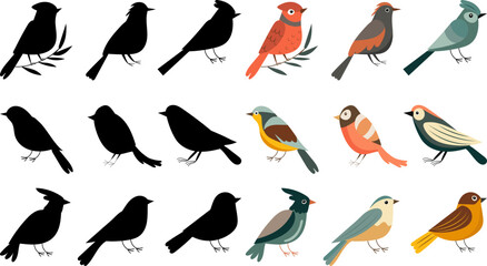 set of birds on white background in flat style isolated vector