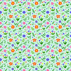 Floral seamless pattern. Spring background with colourful hand drawn flowers and leaves. Vector illustration