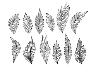Black Flowing Leaves Modern Elegant Vector Outline Collection Isolated on White Background