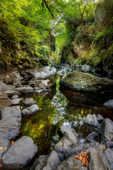 Naklejka na ściany i meble Fairy Glen Gorge, near Betws-y-Coed, Snowdonia, Wales, UK