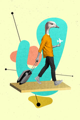 Image collage of headless man goose absurd hold paper airplane walking registration terminal...