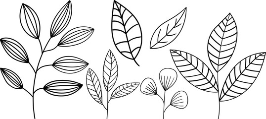 Plant brunches doodle illustration including different tree leaves. Hand drawn cute line art of forest flora - eucalyptus, fern, berries, blueberries. Outline rustic botanical drawing for coloring