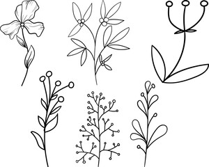 Plant brunches doodle illustration including different tree leaves. Hand drawn cute line art of forest flora - eucalyptus, fern, berries, blueberries. Outline rustic botanical drawing for coloring