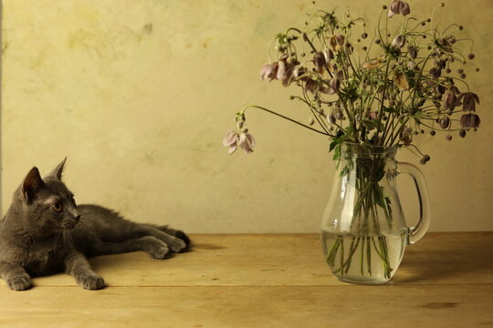 cat on the table with a flower vase