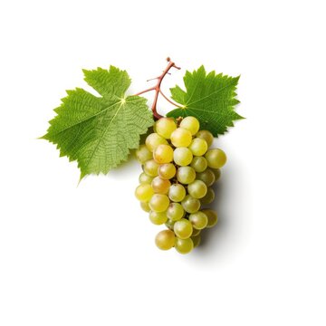 Fresh bunch of white grapes with green leaves isolated with a white background Generative AI Illustration