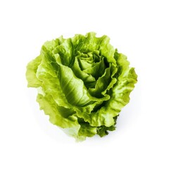 Fresh green lettuce ingredient for cooking isolated with a white background Generative AI Illustration