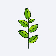 green fresh leaf design vector