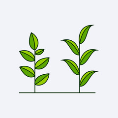 green fresh leaf design vector