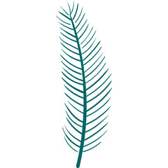Tropical palm tree leaf, fern, frond hand drawn illustration. Flat style design, isolated vector. Exotic, rainforest plant, jungle flora, foliage, botanical element