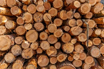 Möbelaufkleber Wood © RafalDemski