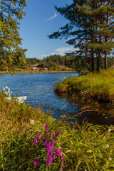 A picturesque reflection of the sky and trees in a forest river. The concept of vacation, summer, fishing, rest on the river bank, calendar, cover. Vertical photo. Blue sky, green trees.