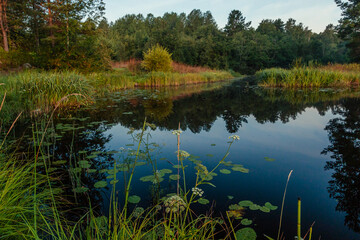 Obraz premium A picturesque reflection of the sky and trees in a forest river. The concept of vacation, summer, fishing, rest on the river bank, calendar, cover. Horizontal photo. 