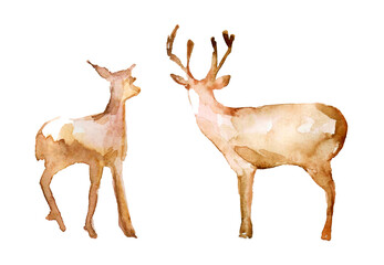 Two forest deer isolated on white background. Watercolor illustration, hand drawing. Childish, cute, cartoon illustration with animals.