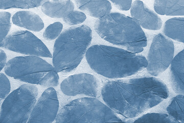 Abstract background of natural leaves pattern background, blue leaves texture background