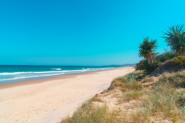 Beautiful wide panoramic view of the Peregian beach with rolling waves of Pacific ocean, Sunshine Coast, Queensland, Australia. - obrazy, fototapety, plakaty