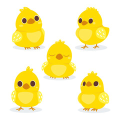 Cute baby chickens set. Little yellow cartoon chicks. Vector illustration isolated on white background.