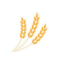 Wheat ear vector illustration isolated on white background.