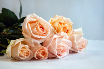 Photo of a bouquet of roses on a white background