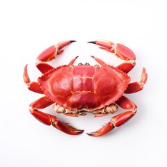 red crab