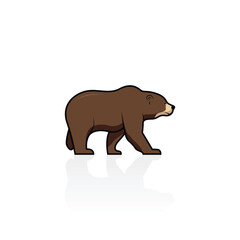 Bear brown isolated vector graphics